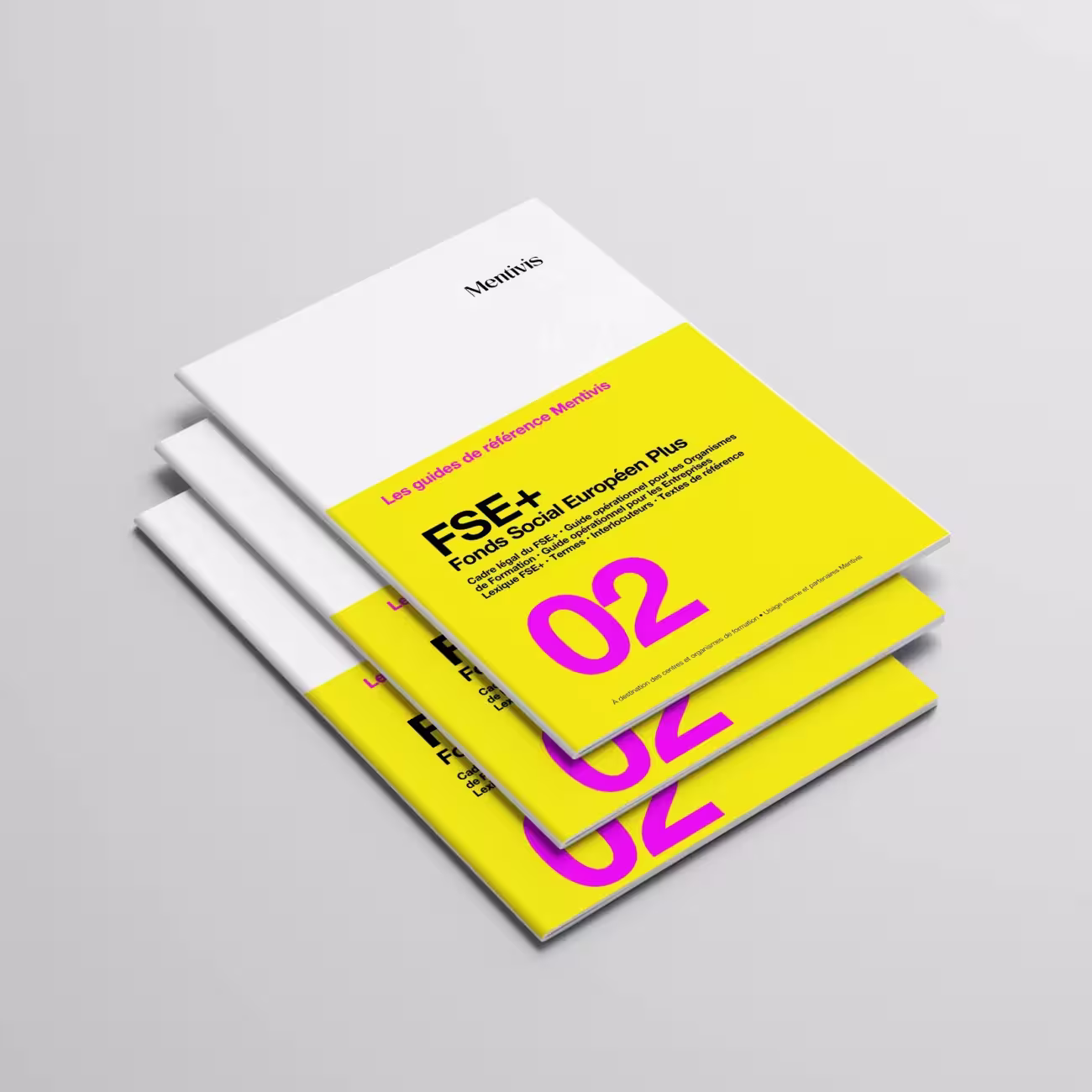 Le guide FSE+